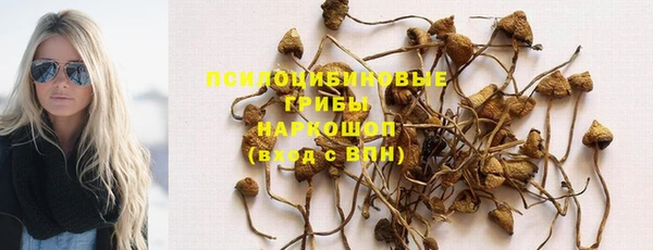 2c-b Алексеевка