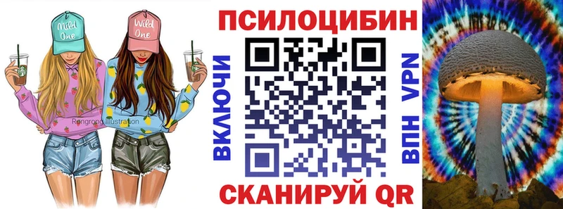 Галлюциногенные грибы Psilocybine cubensis KRAKEN сайт Новомичуринск